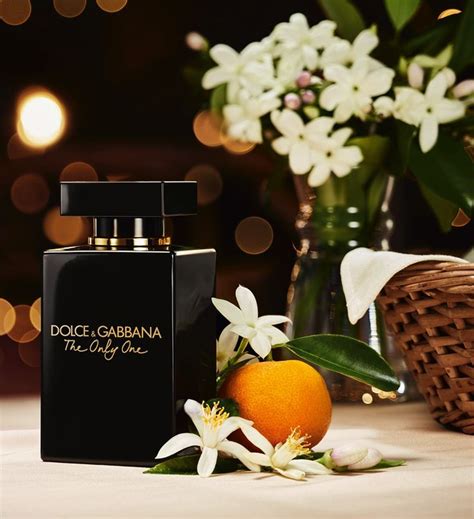 dolce gabbana values|dolce and gabbana price range.